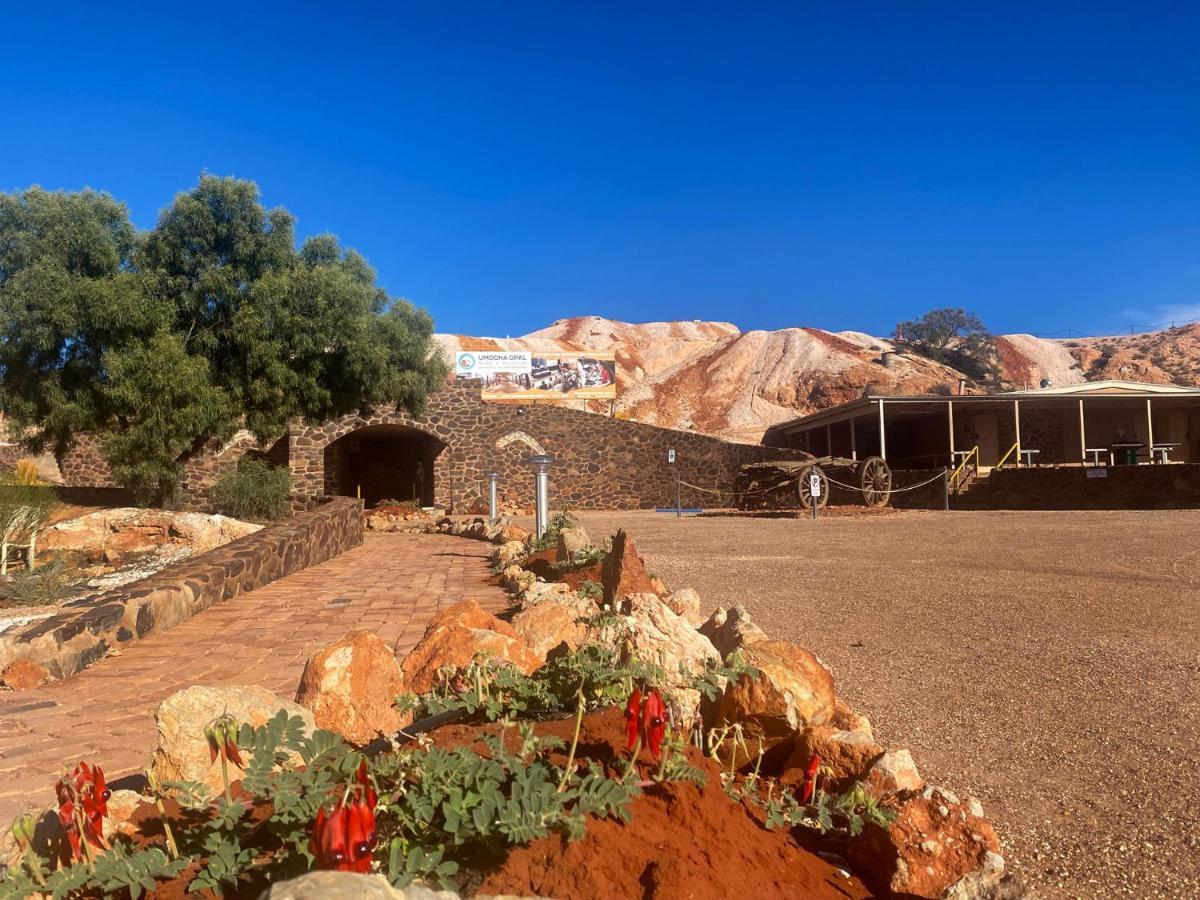 Ali'S Underground Studio Coober Pedy Dış mekan fotoğraf